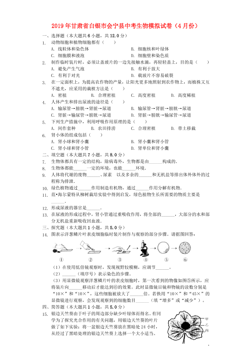 j3c768ps8cqtck8hj3c768ps8cqtck8h_1.png