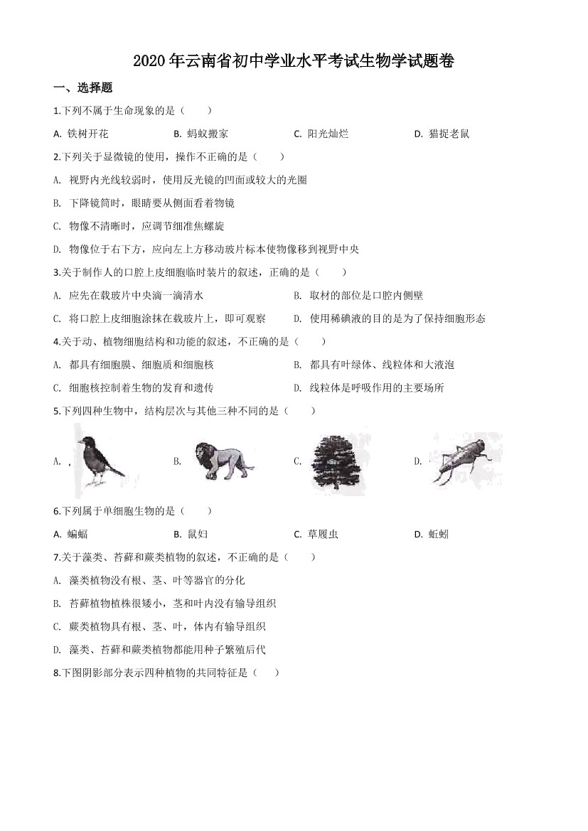 j5ej4lfof2dgsvr9j5ej4lfof2dgsvr9_1.png