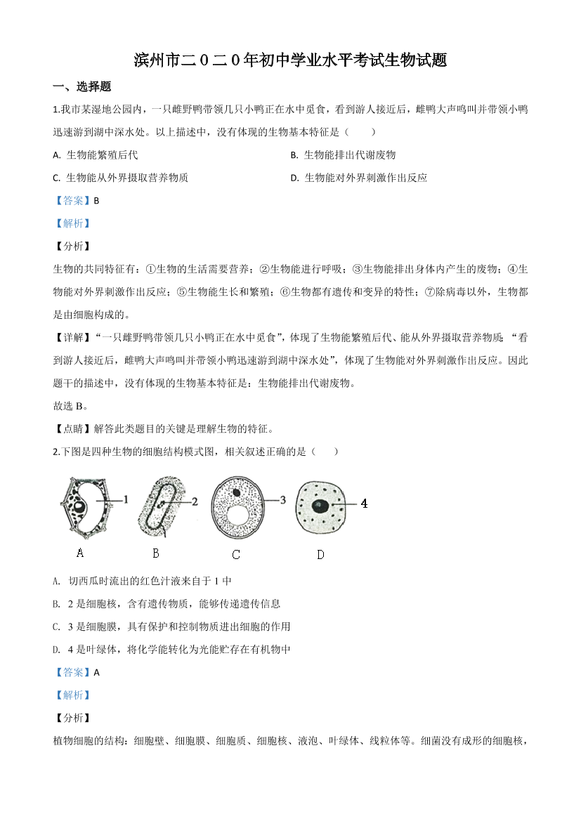 nvflaop6xrqits45nvflaop6xrqits45_1.png