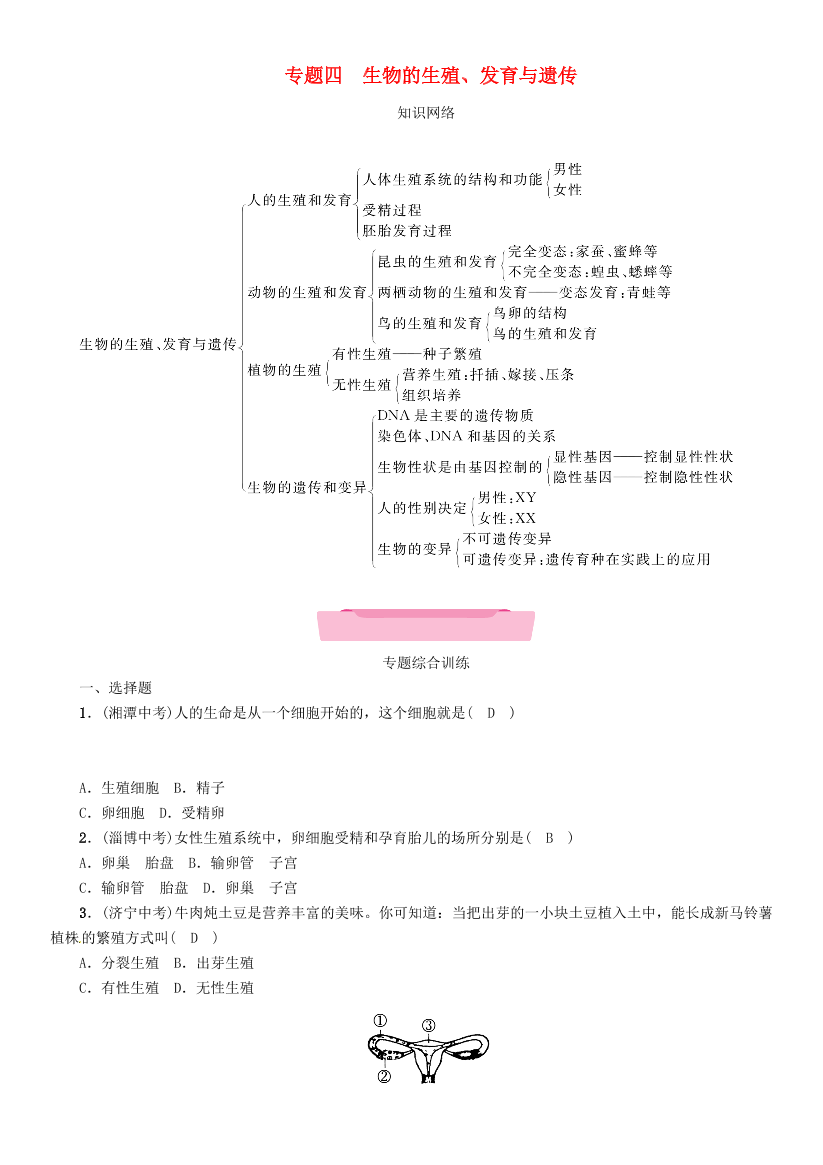 qiannsankn17mcdtqiannsankn17mcdt_1.png