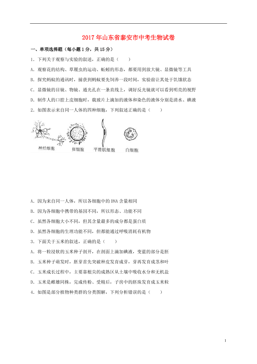u286u1scj5hgswvhu286u1scj5hgswvh_1.png