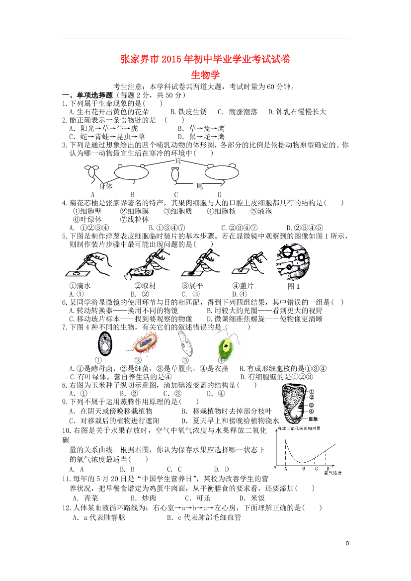 wmtbrf1w95a6ox7zwmtbrf1w95a6ox7z_1.png