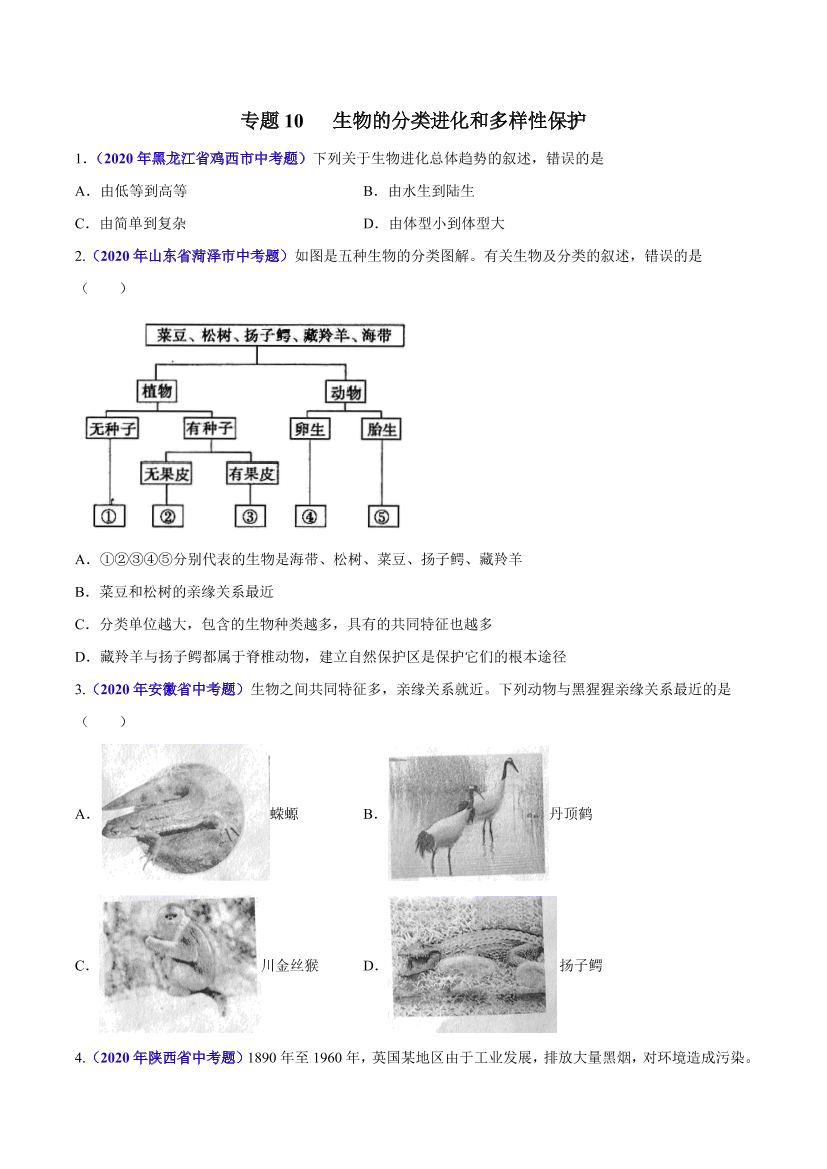 7n8mfhr3ow574gew7n8mfhr3ow574gew_1.png