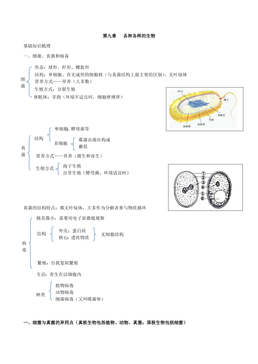 h5zq30a9cqq1324zh5zq30a9cqq1324z_1.png
