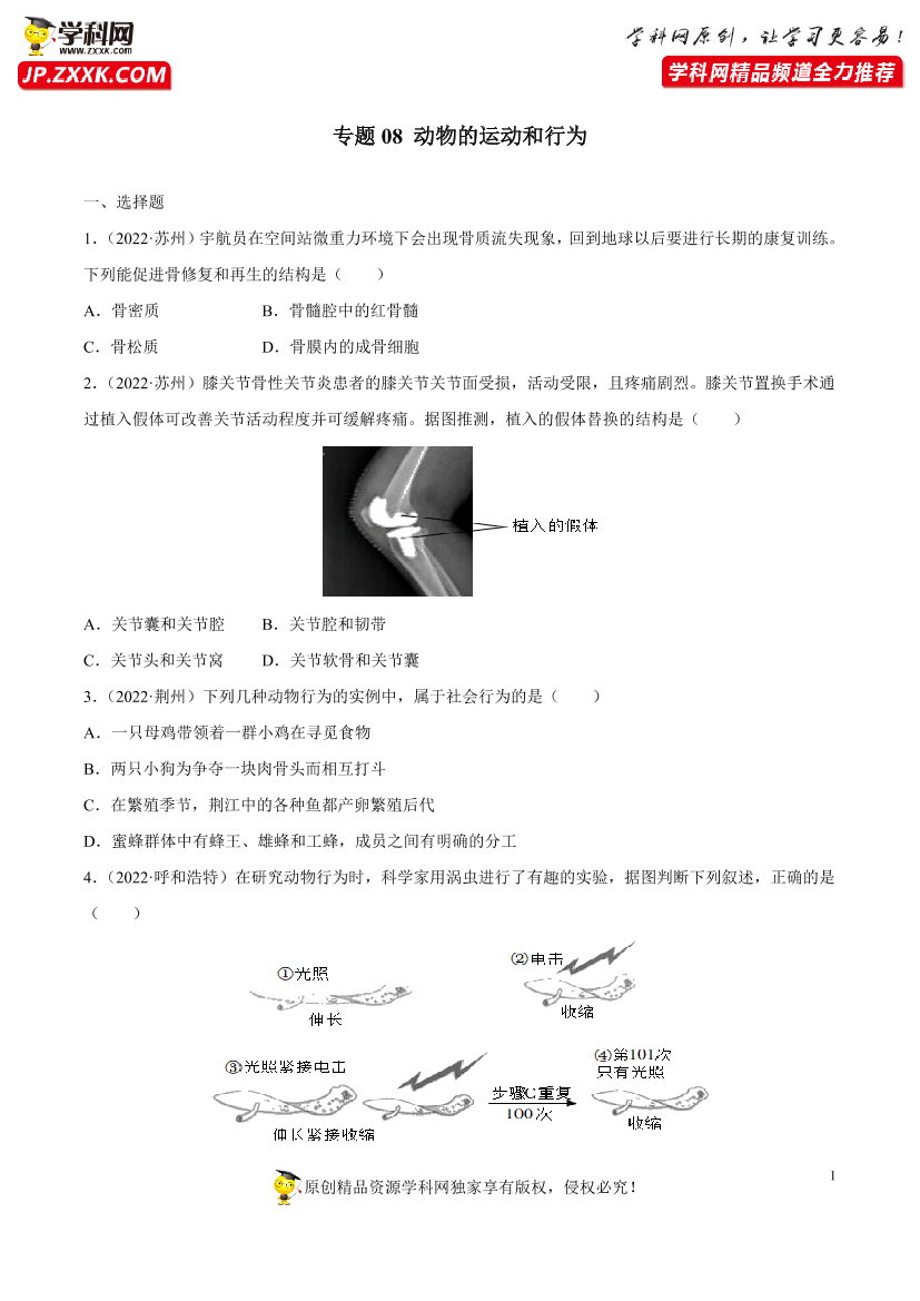 ke8lcj3iz6aw0b49ke8lcj3iz6aw0b49_1.png