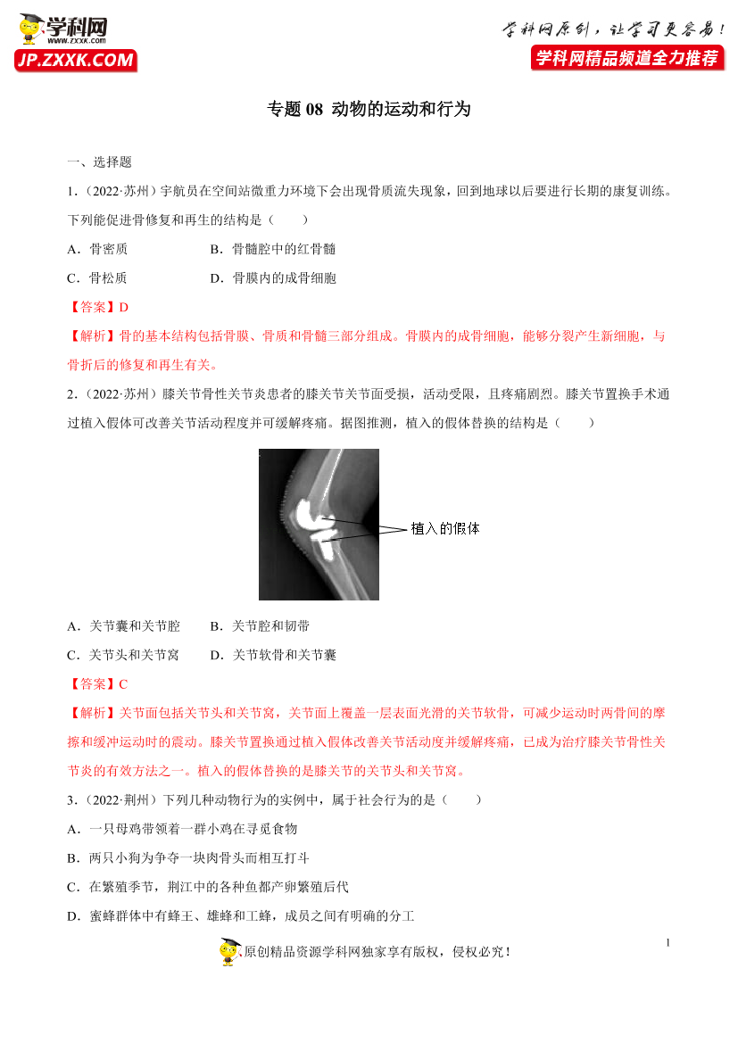xcbogn7fjapcvx47xcbogn7fjapcvx47_1.png
