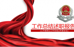中国税务局工作总结述职报告年度会议PPT模板