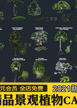 园林景观树木树叶植物CAD施工图库 乔木常绿草花灌木植物C...