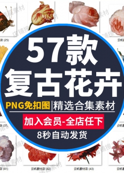 复古手绘花卉免海报插画相册PNG图案手账影楼装饰设计元...