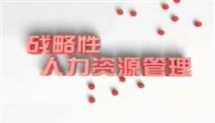 战略性人力资源管理-冉斌人力资源管理讲座下载