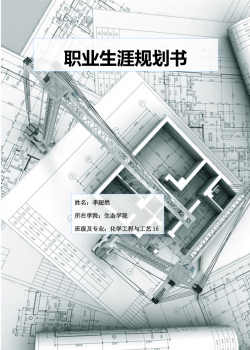 职业生涯规划化工.doc