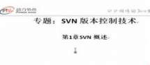 北京动力节点-教学视频资源库-SVN系列专题