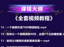 打造100万粉丝抖音月入5万+《全套视频教程》