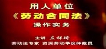 用人单位劳动合同法操作实务-左祥琦用人单位劳动合同法...
