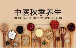 中国风中医文化养生健康PPT模板