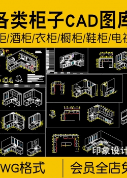 各类柜子平立面CAD施工图库鞋柜酒柜橱柜衣柜电视柜剖面...