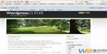 wordpress常见问题分析视频教程集合（适合于初级中级用户...