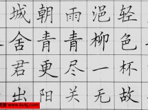 赵贺新中性笔楷书标准教程－常用500字（上）