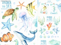 唯美卡通手绘水彩海洋动物植物海龟鲸鱼海星PNG免抠图PS素材