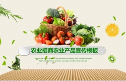 农业招商农业产品宣传PPT模板