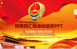 中国检查院汇报会议动态PPT模板