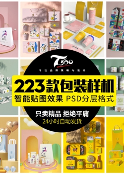 高端品牌茶叶茶具产品盒装礼盒名片包装vi智能贴图展示样...