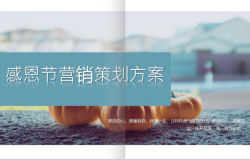 清新简约感恩节营销活动策划方案汇报PPT模板