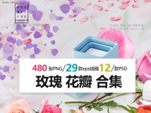 玫瑰花花朵花瓣免抠PNG素材影楼摄影后期+PSD+EPS 合集包