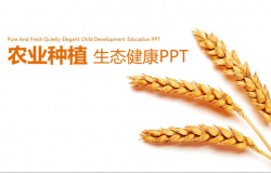 农业种植农产品推广展示PPT模板