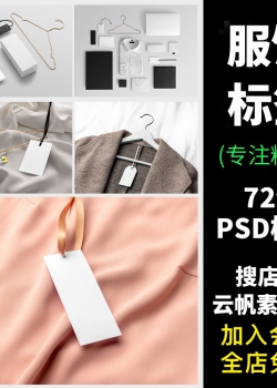 服饰服装标签吊牌卡片T恤品牌展示样机智能效果贴图VI设...