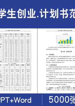 大学生创新创业计划书模板范文ppt商业策划项目科技青春wo...