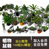 草图室内设计植物盆栽绿植花钵花架花瓶su家装模型Sketchup...