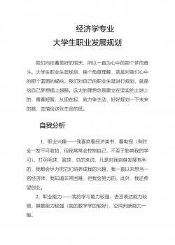 经济学专业大学生职业生涯规划书234.doc