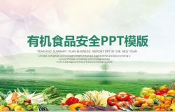 健康养生绿色有机食品安全教育宣传PPT模板