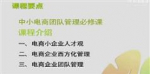 杨连合中小电商团队管理必修课视频讲座,中小电商团队管...