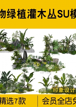 新中式园林庭院植物灌木丛草丛景观小品草图大师SU模型日...
