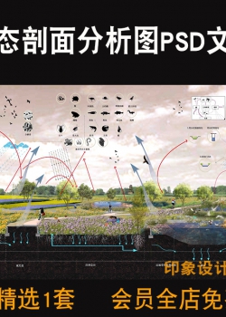 景观公园生态剖面切面透视图分析图PSD分层源文件竞赛风...