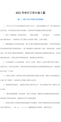 2021年审计工作计划3篇.docx