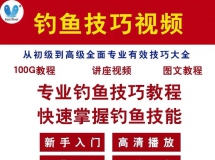 钓鱼视频技巧教程实战大全