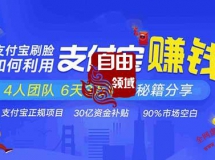 支付宝刷脸正规赚钱项目：4人团队6天3万收益秘籍分享（3...