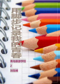 航空专业职业生涯规划.doc