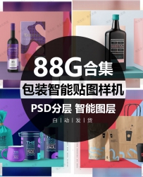 平面vi设计提案logo设计包装盒瓶子纸袋智能贴图样机PSD模...