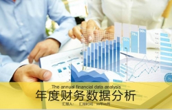 年度财务数据分析总结汇报PPT模板