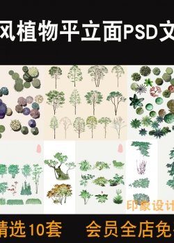 新中式中国古风古典植物彩色平立面图PSD分层源文件设计...