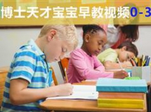 周博士天才宝宝早教视频0-3岁 早教视频全集