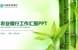 中国农业银行个人简介述职报告PPT模板
