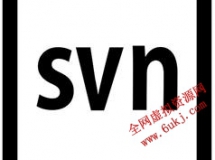 SVN教程-30课学会SVN版本管理工具视频教程