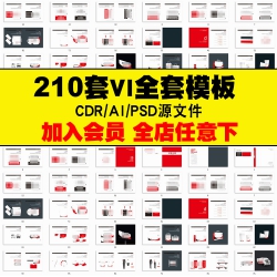 企业公司品牌VI标识设计全套手册AI/PSD/CDR毕业作品作业模...