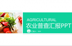 农业普查汇报农产品推广PPT模板