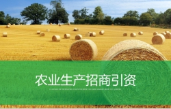 农业生产招商引资农产品宣传PPT模板